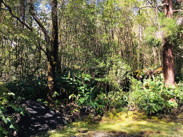 19-3862 Old Volcano Rd, Volcano, HI 96785