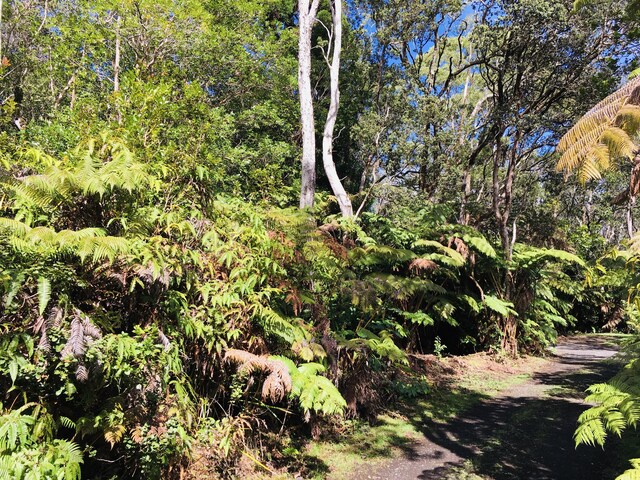 19-3862 Old Volcano Rd, Volcano, HI 96785