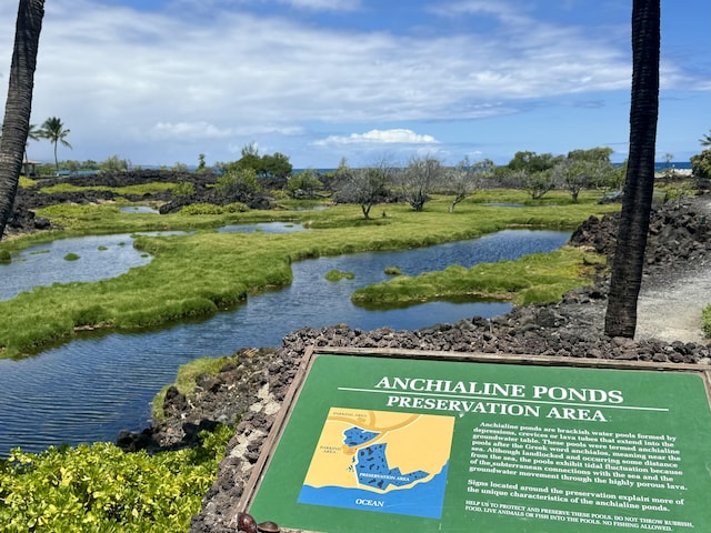 69-1010 Keana Pl Unit B101, Waikoloa, HI 96738 - view of home's community featuring a water view