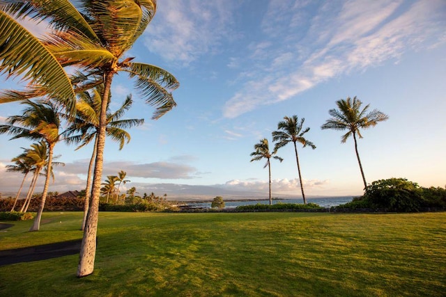 Naupaka Kai Pl, Waikoloa, HI 96738 - photo 1