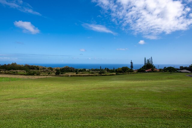54-2319 Kynnersley Rd, Kapaau, HI 96755 - surrounding community with a yard