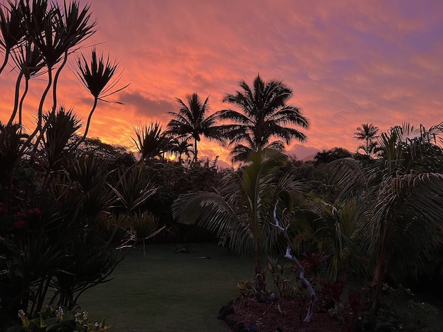 5-7330 Kuhio Hwy Unit B, Hanalei, HI 96714 - view of yard
