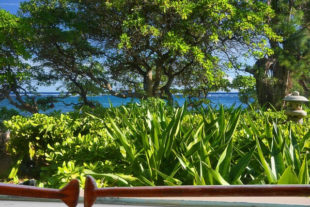 4934 Aliomanu Rd, Anahola, HI 96703 - water view
