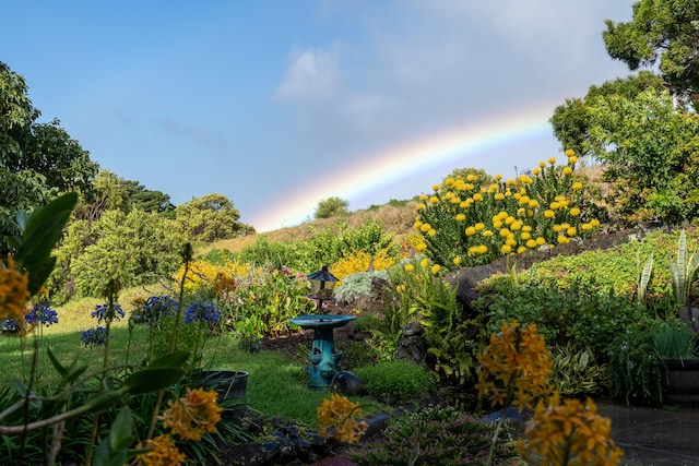 65-1508 Kawaihae Rd, Kamuela, HI 96743 - photo 3