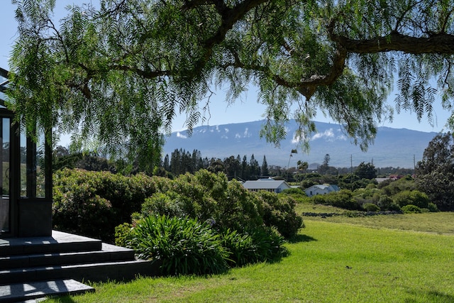 65-1508 Kawaihae Rd, Kamuela, HI 96743 - photo 23