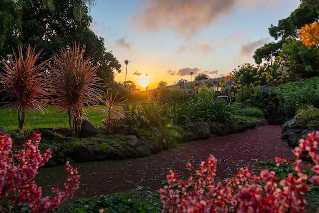65-1508 Kawaihae Rd, Kamuela, HI 96743 - photo 6