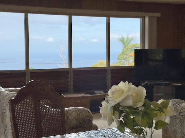 82-1091 Kinue Rd, Captain Cook, HI 96704 - living area featuring carpet floors