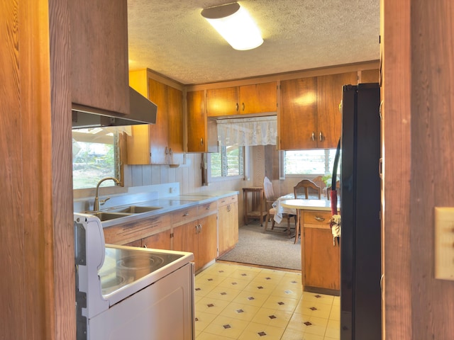 82-1091 Kinue Rd, Captain Cook, HI 96704 - kitchen featuring freestanding refrigerator, electric range, plenty of natural light, a sink, and a textured ceiling