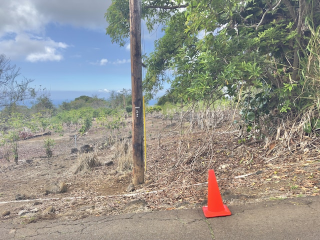 82-1091 Kinue Rd, Captain Cook, HI 96704 - view of yard
