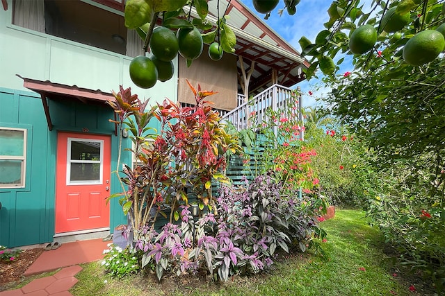 12-7003 Kaihulali St, Pahoa, HI 96778 - view of doorway to property
