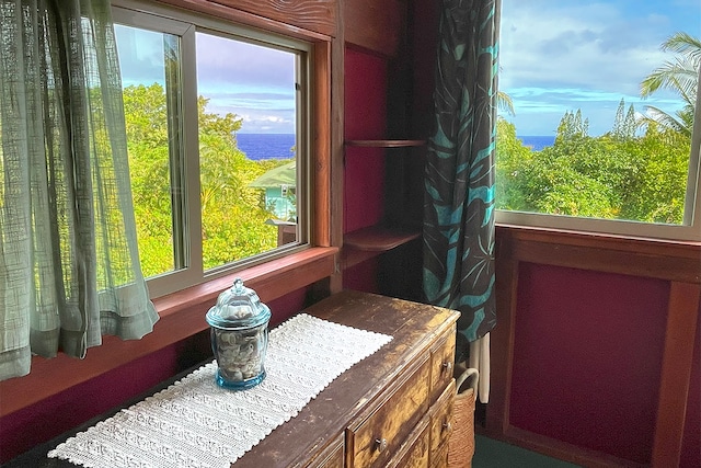 12-7003 Kaihulali St, Pahoa, HI 96778 - detailed view of a large body of water
