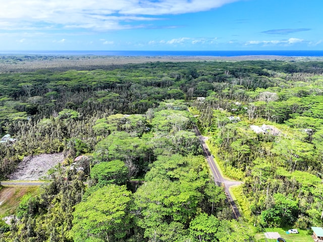 Plumeria Rd, Pahoa, HI 96778 - photo 2