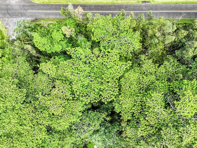 Plumeria Rd, Pahoa, HI 96778 - photo 3
