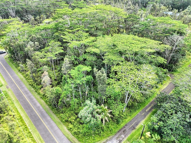 Plumeria Rd, Pahoa, HI 96778 - photo 4