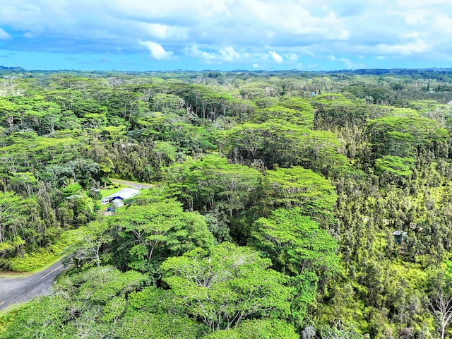 Plumeria Rd, Pahoa, HI 96778 - photo 5