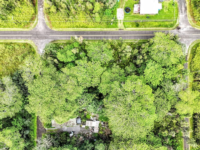 Plumeria Rd, Pahoa, HI 96778 - photo 6