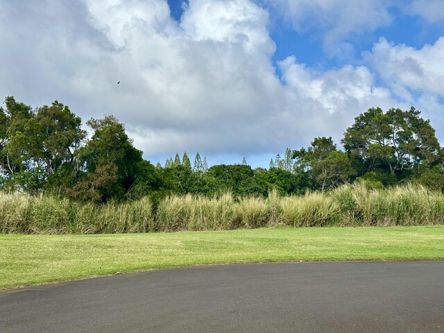 54-3703 Lehuula Cir, Kapaau, HI 96755
