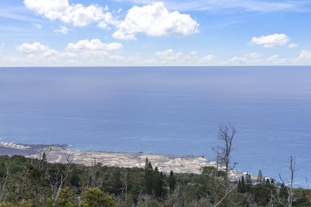 88-1650 Papio Dr, Captain Cook, HI 96704 - water view
