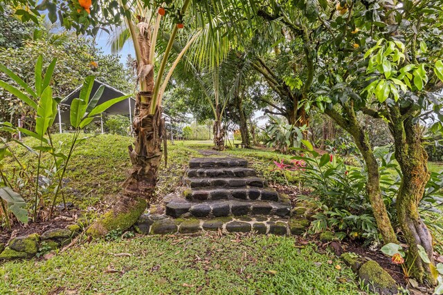 15-1518 20th Ave, Hilo, HI 96749 - view of yard