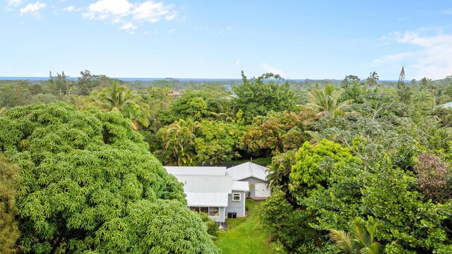 15-1518 20th Ave, Hilo, HI 96749 - view of subject property featuring a forest