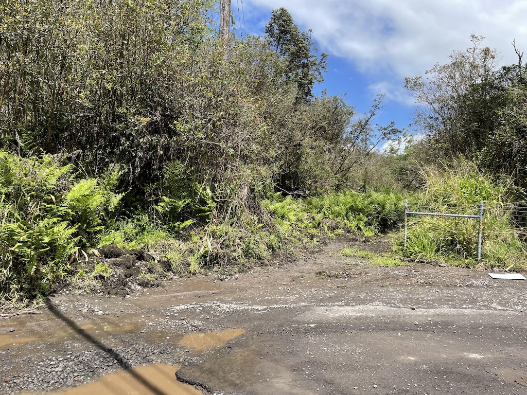 16-1153-A Uhini Ana Rd, Mountain View, HI 96760