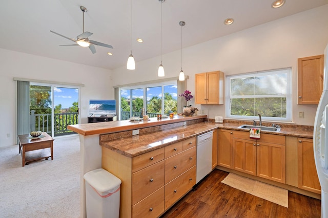 71-1410 Puu Kamanu Ln, Kailua-Kona, HI 96740 - kitchen with dishwasher, a sink, a peninsula, plenty of natural light, and recessed lighting