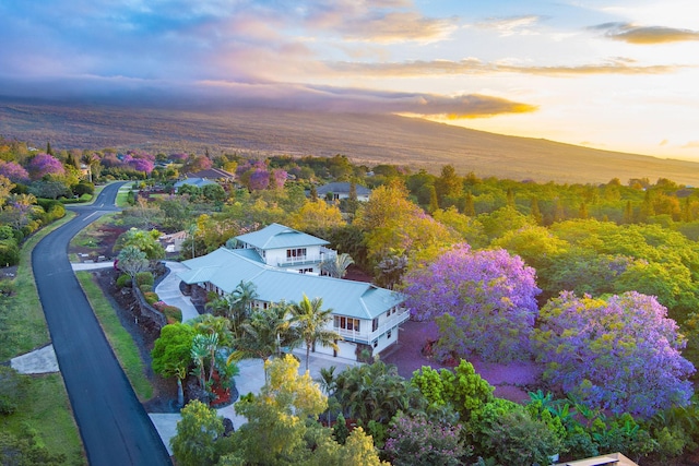 71-1410 Puu Kamanu Ln, Kailua-Kona, HI 96740 - aerial view of property and surrounding area