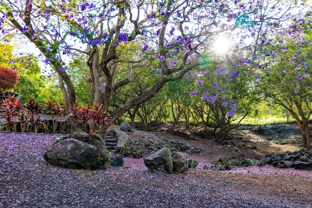 71-1410 Puu Kamanu Ln, Kailua-Kona, HI 96740 - view of yard