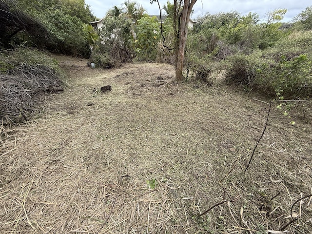 94-1575 Haehae St, Naalehu, HI 96772