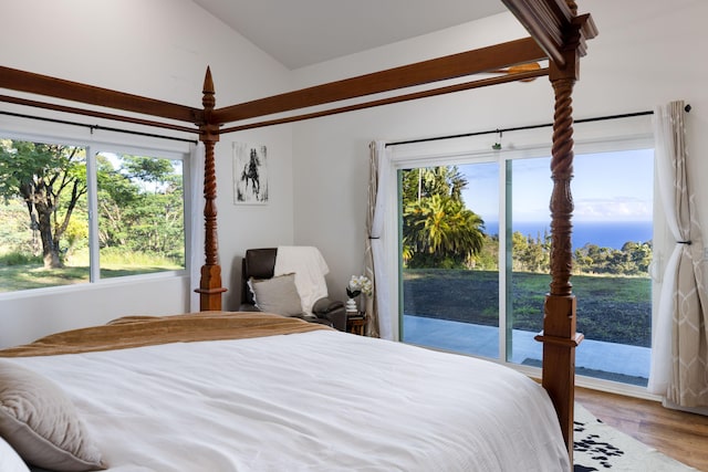 36-574 Spencer Rd, Laupahoehoe, HI 96764 - bedroom featuring access to outside, wood finished floors, and vaulted ceiling