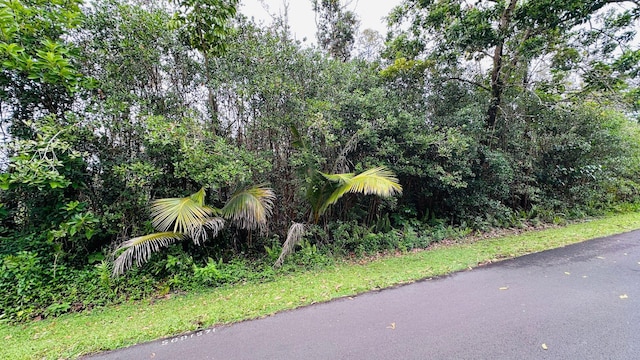 Kaku St, Pahoa, HI 96778