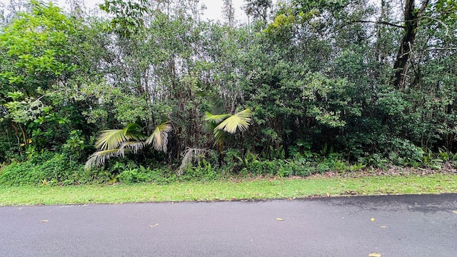 Kaku St, Pahoa, HI 96778