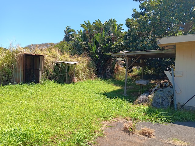 95-1168 Kukui Rd, Naalehu, HI 96772 - view of grassy yard