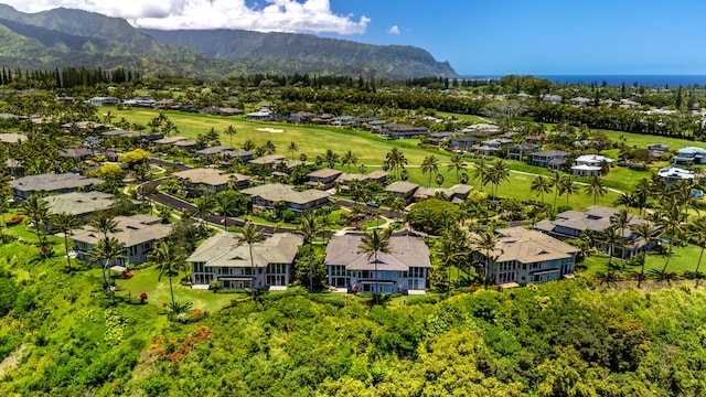 4100 Queen Emma Dr Unit 33, Princeville, HI 96722 - photo 2