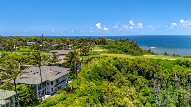 4100 Queen Emma Dr Unit 33, Princeville, HI 96722 - photo 1