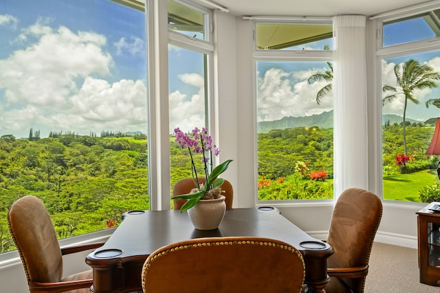4100 Queen Emma Dr Unit 33, Princeville, HI 96722 - photo 8