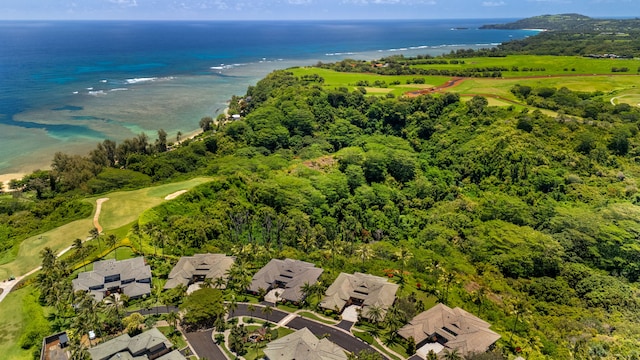 4100 Queen Emma Dr Unit 33, Princeville, HI 96722 - photo 27