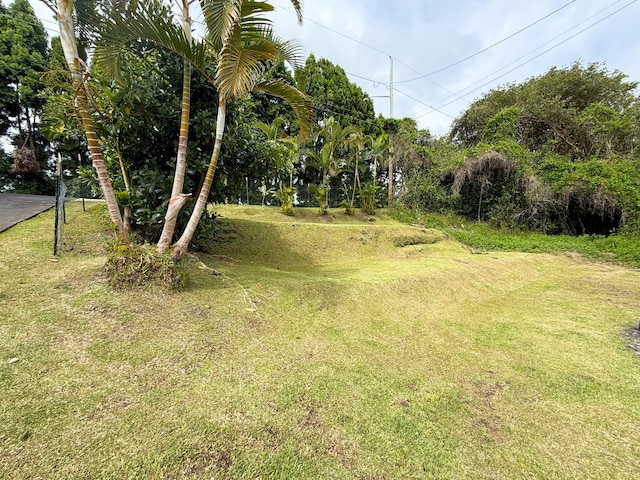 18-7862 N Lauko Rd, Mountain View, HI 96771 - view of grassy yard