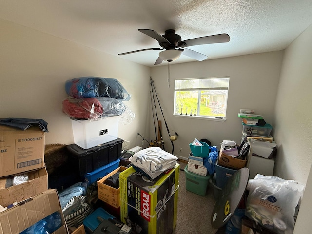 18-7862 N Lauko Rd, Mountain View, HI 96771 - storage area featuring ceiling fan
