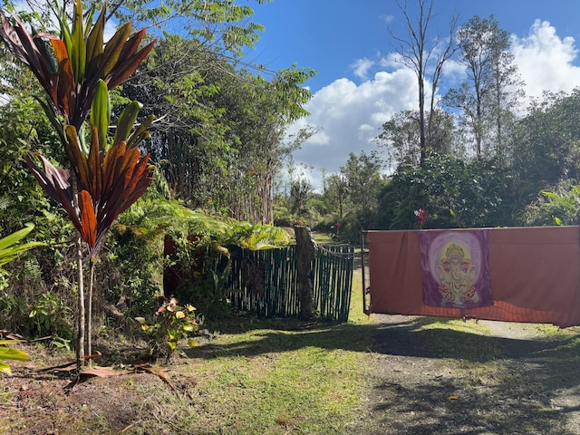 16-1557 Ao Rd, Mountain View, HI 96760 - view of yard