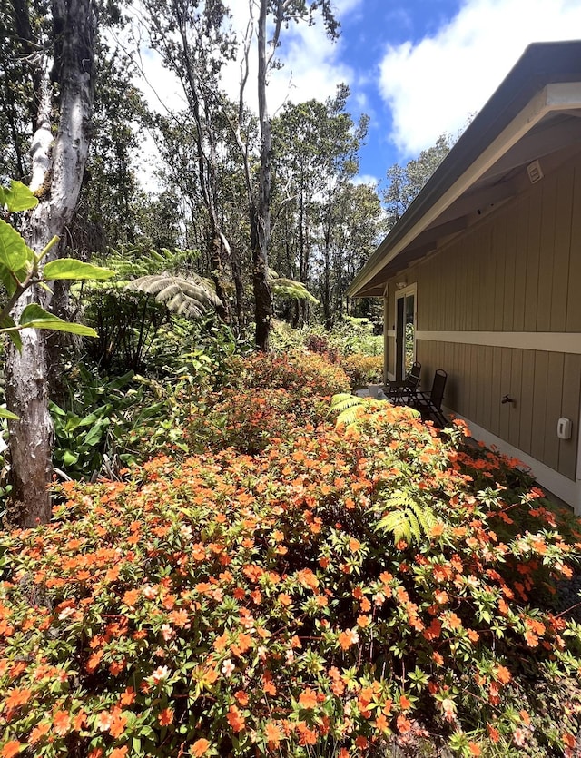 11-3795 2nd St, Volcano, HI 96785 - view of yard