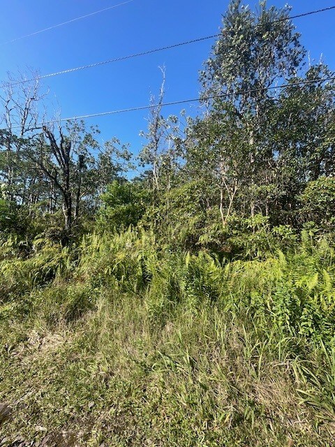 36th Ave, Kurtistown, HI 96760