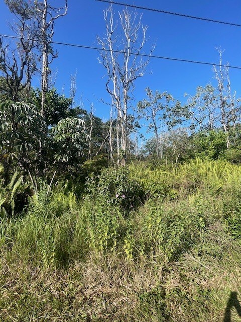 36th Ave, Kurtistown, HI 96760