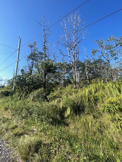 36th Ave, Kurtistown, HI 96760
