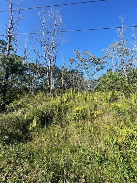 36th Ave, Kurtistown, HI 96760