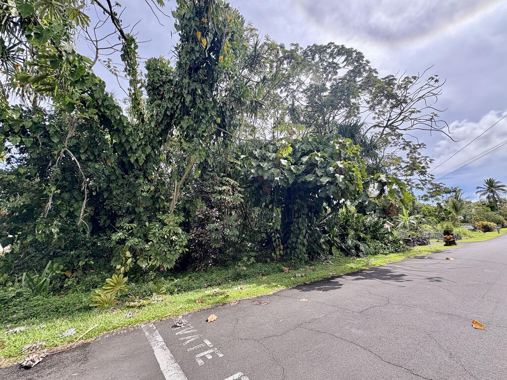 Opae St, Pahoa, HI 96778 - photo 1