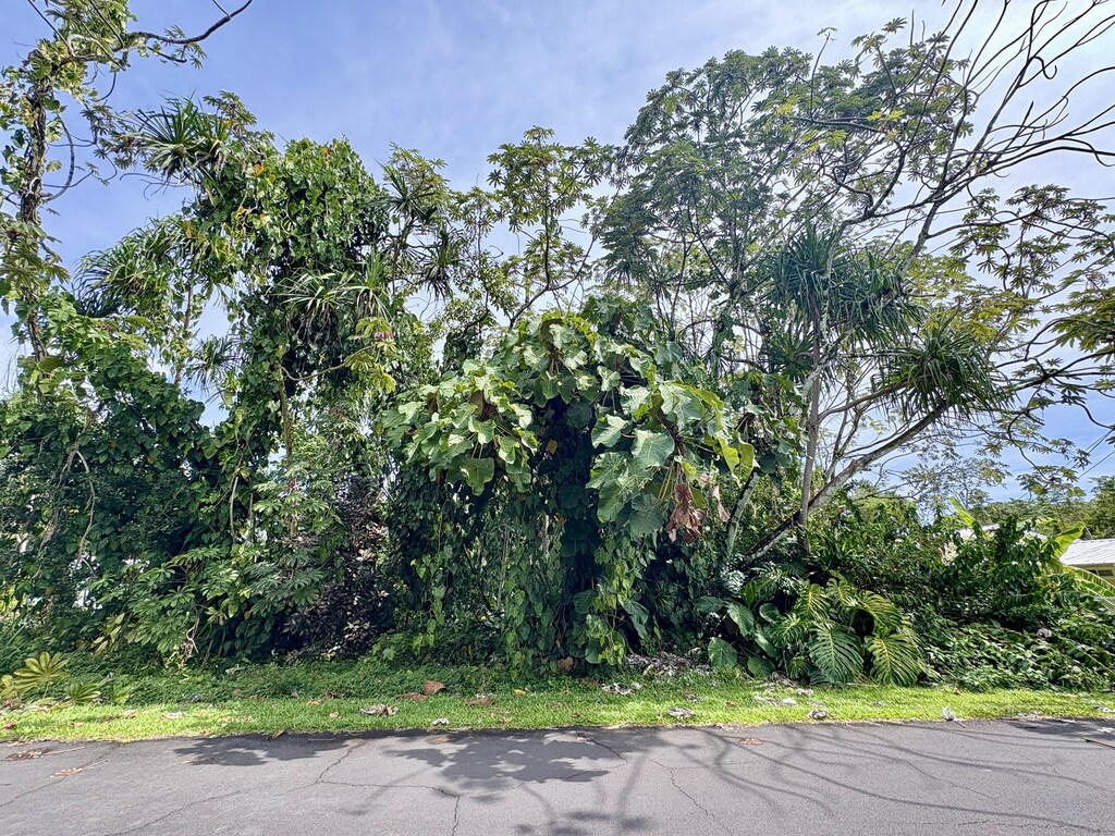 Opae St, Pahoa, HI 96778 - photo 2