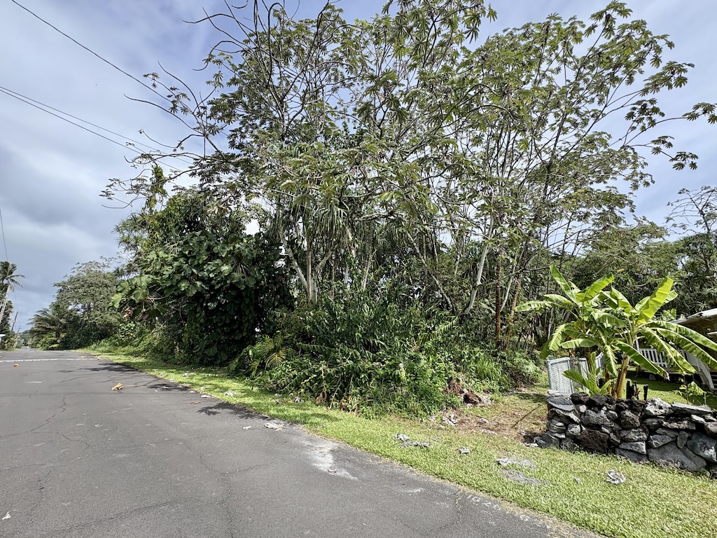 Opae St, Pahoa, HI 96778 - photo 4
