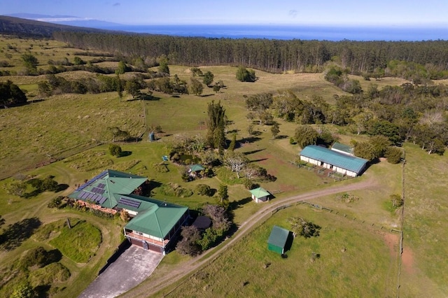 47-5254 Waikoekoe Ln, Honokaa, HI 96727 - view of property location featuring a forest