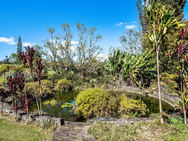 47-5254 Waikoekoe Ln, Honokaa, HI 96727 - view of yard